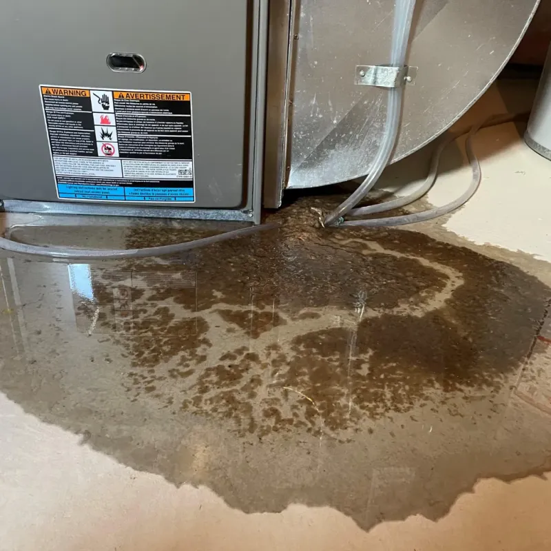 Appliance Leak Cleanup in Montevideo, MN